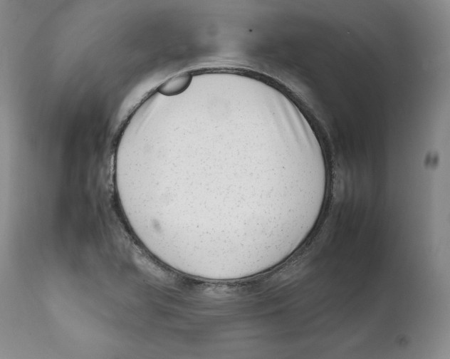 X0000111921366200908241040