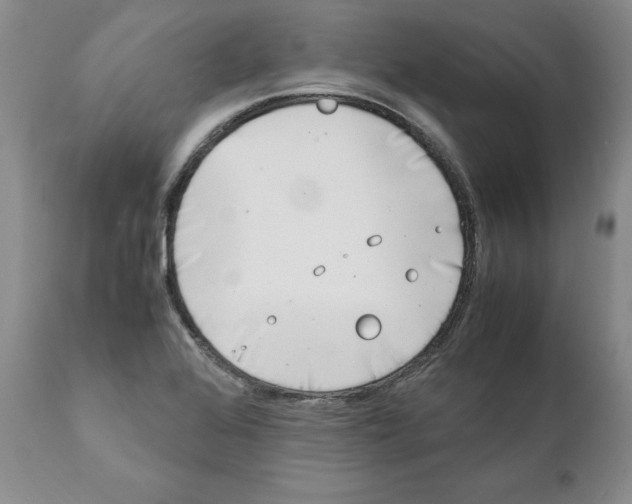 X0000111921368200908241040