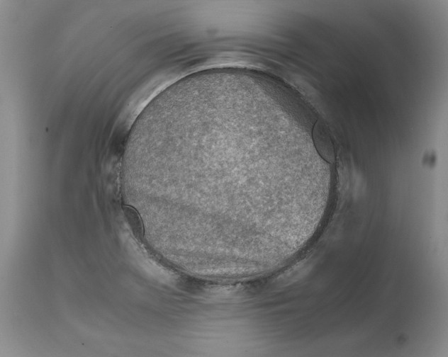 X0000111921369200908241040