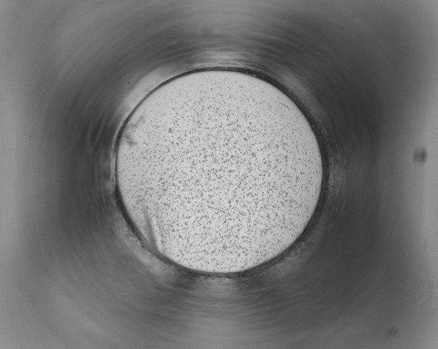 X0000111921370200908241040