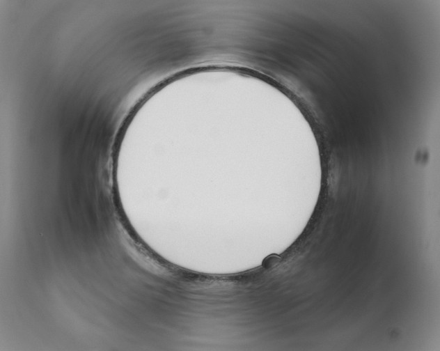 X0000111921372200908241040