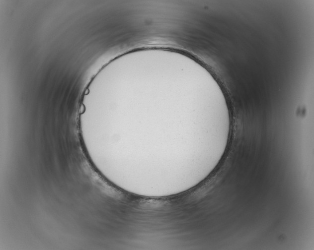 X0000111921374200908241040