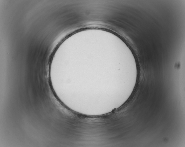 X0000111921376200908241040