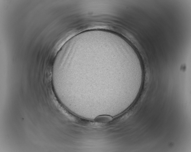 X0000111921377200908241040