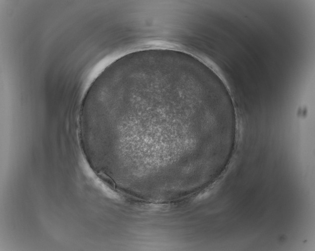 X0000111921381200908241040