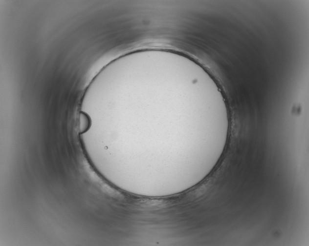 X0000111921382200908241040