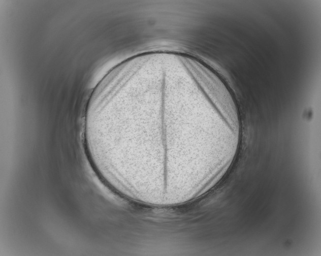 X0000111921383200908241040