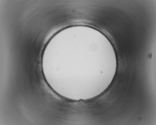 X0000111921384200908241040