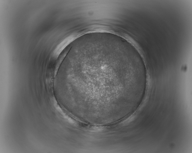 X0000111921385200908241040