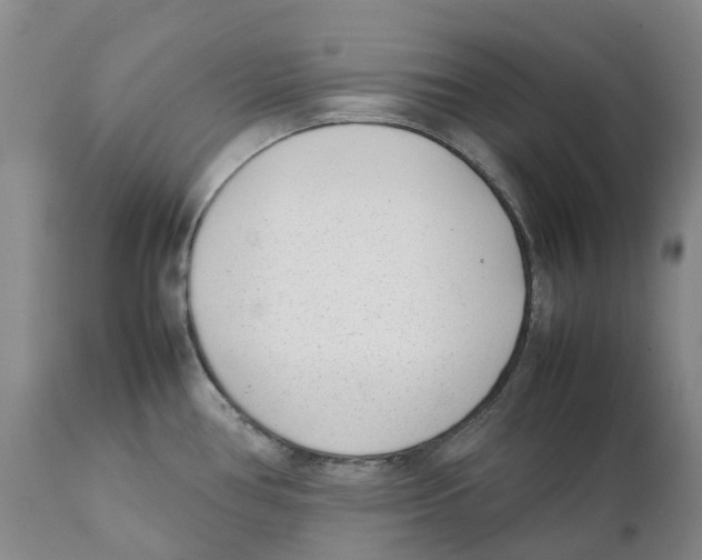 X0000111921386200908241040