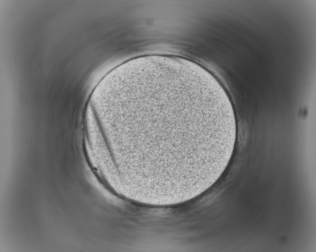 X0000111921387200908241040