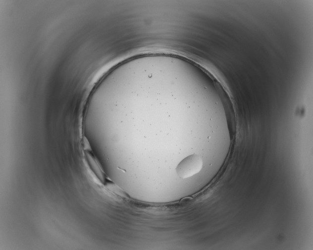 X0000111921388200908241040