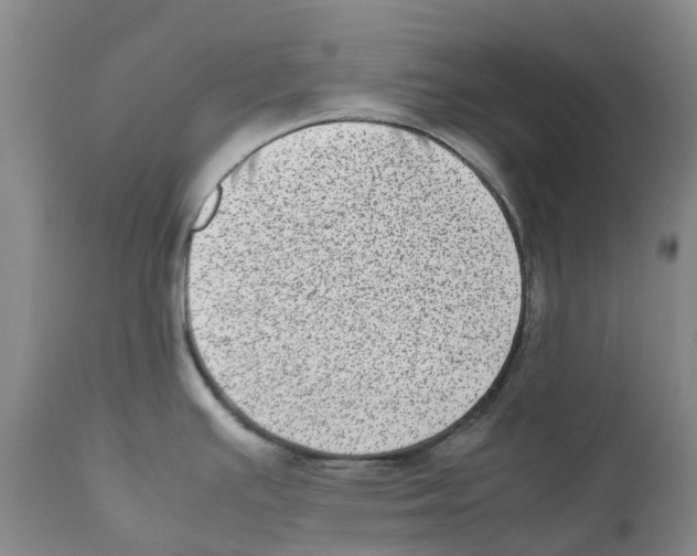 X0000111921391200908241040