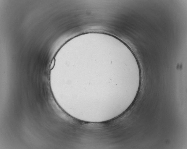 X0000111921392200908241040