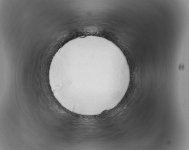 X0000111921393200908241039