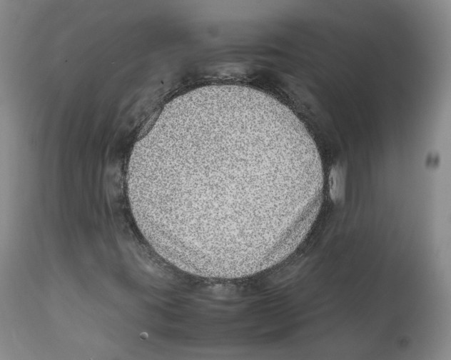 X0000111921395200908241039