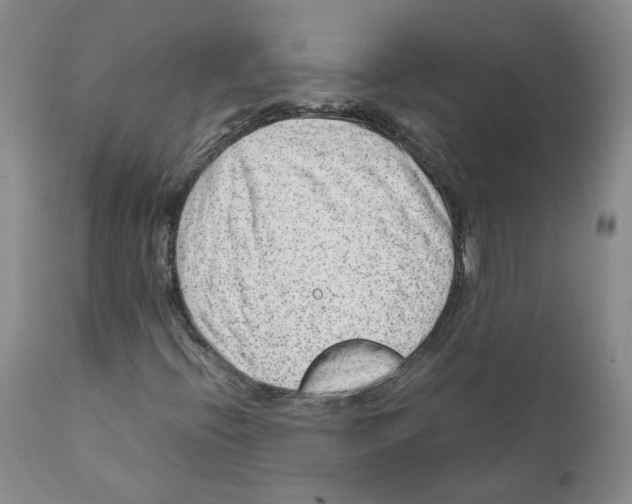 X0000111921396200908241039