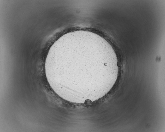 X0000111921398200908241039