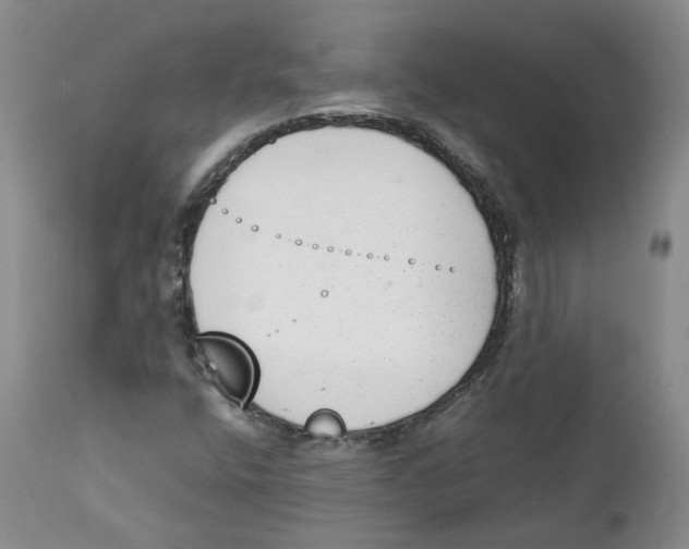 X0000111921400200908241039