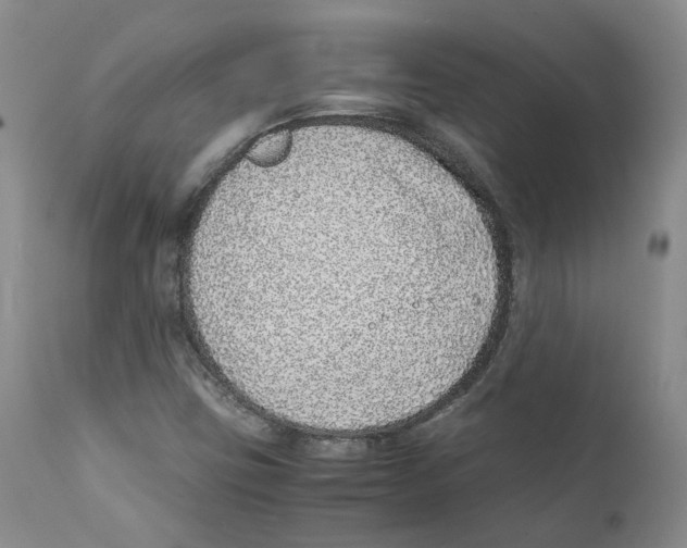 X0000111921403200908241039