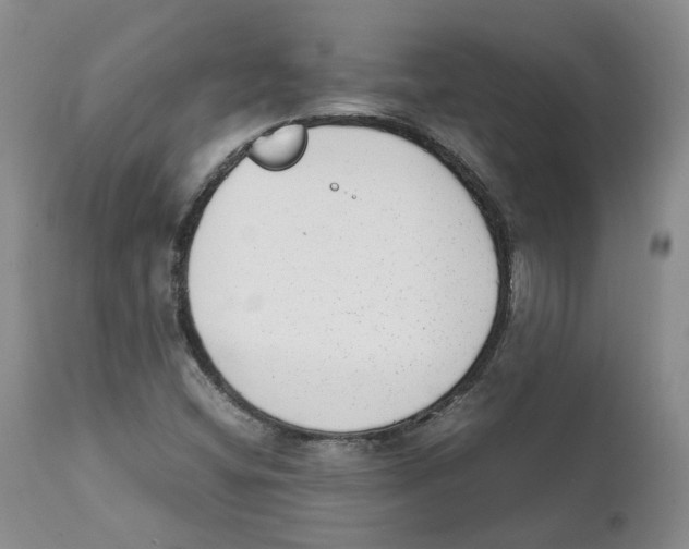 X0000111921404200908241039