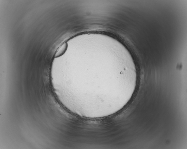 X0000111921409200908241039