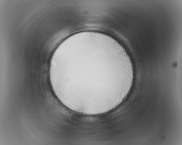 X0000111921411200908241039