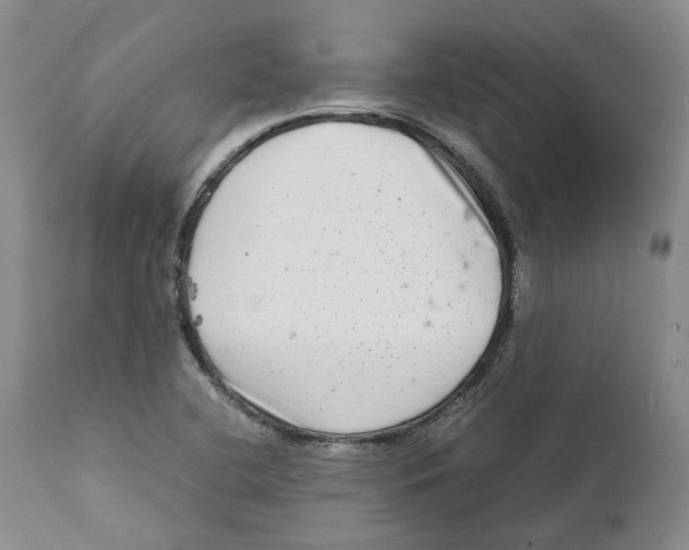 X0000111921412200908241039