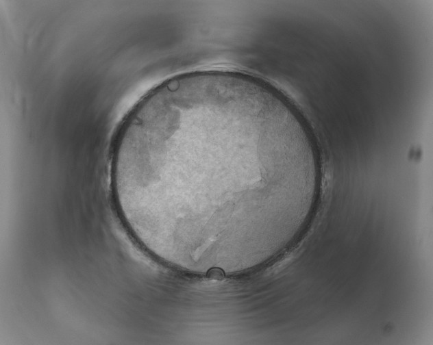 X0000111921414200908241039