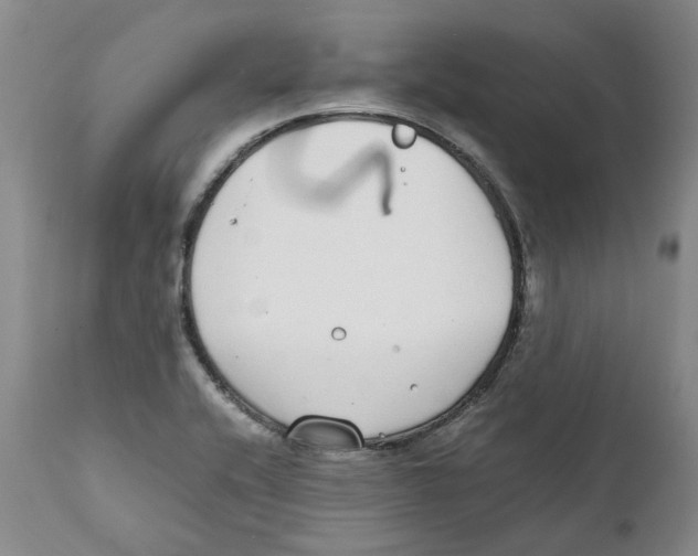 X0000111921416200908241039