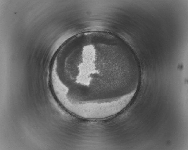 X0000111921418200908241039