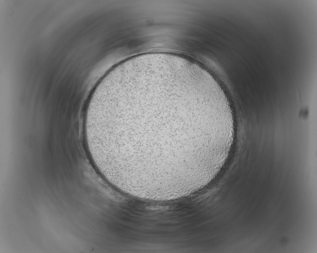 X0000111921419200908241039