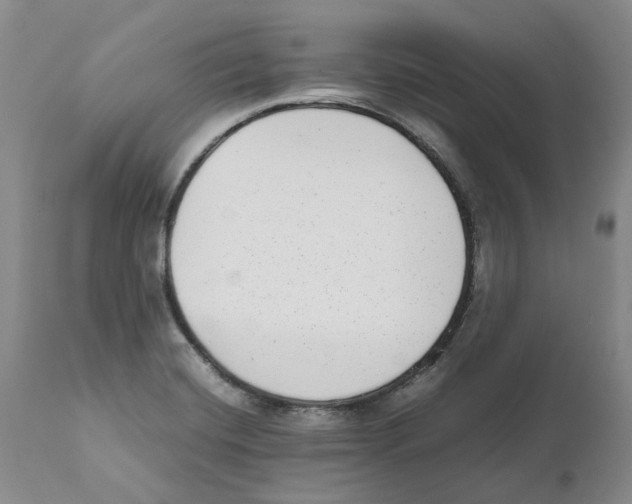 X0000111921420200908241039