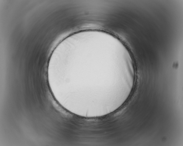 X0000111921421200908241039