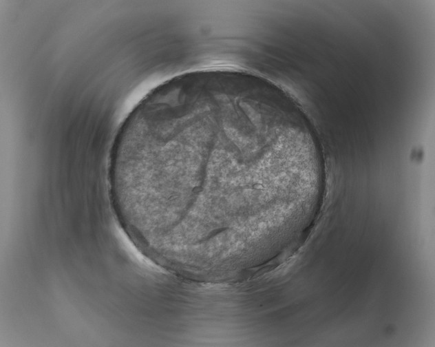 X0000111921422200908241039