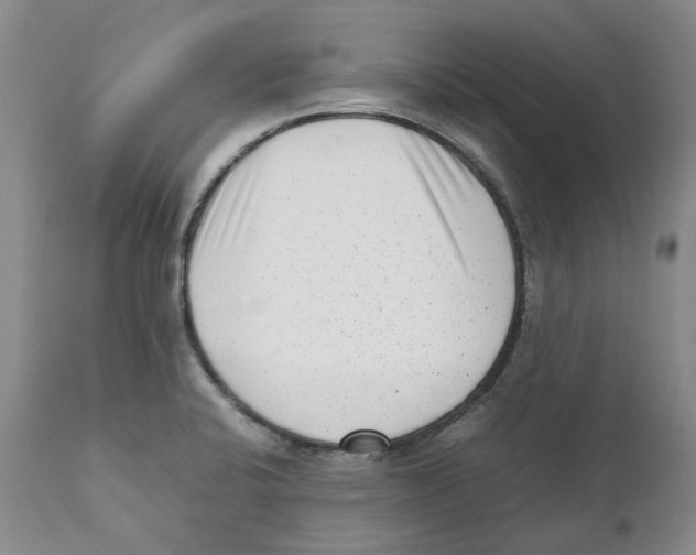 X0000111921424200908241039