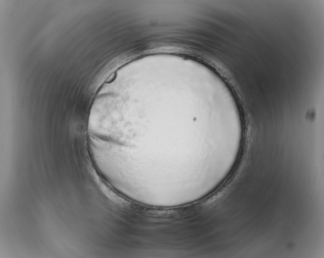 X0000111921425200908241039