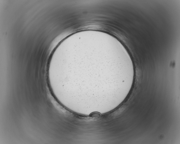 X0000111921426200908241039