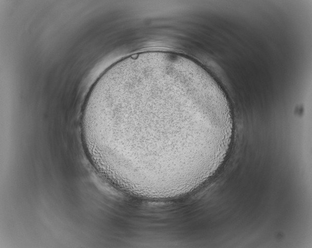 X0000111921427200908241039