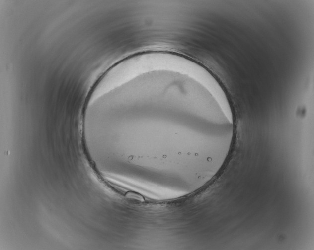 X0000111921428200908241039