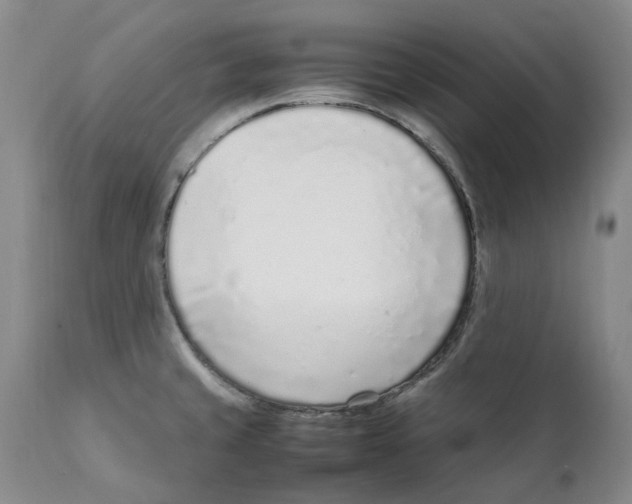 X0000111921429200908241039