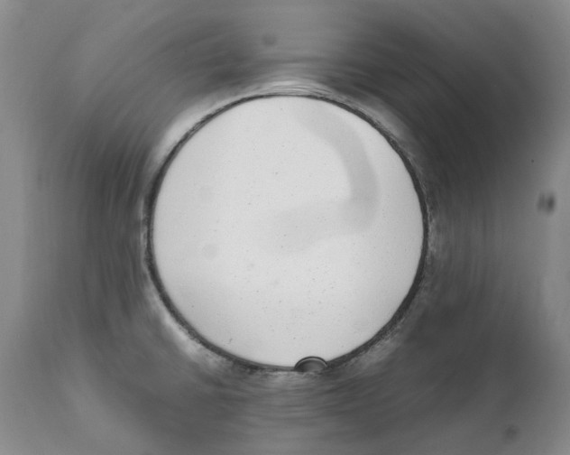 X0000111921430200908241039