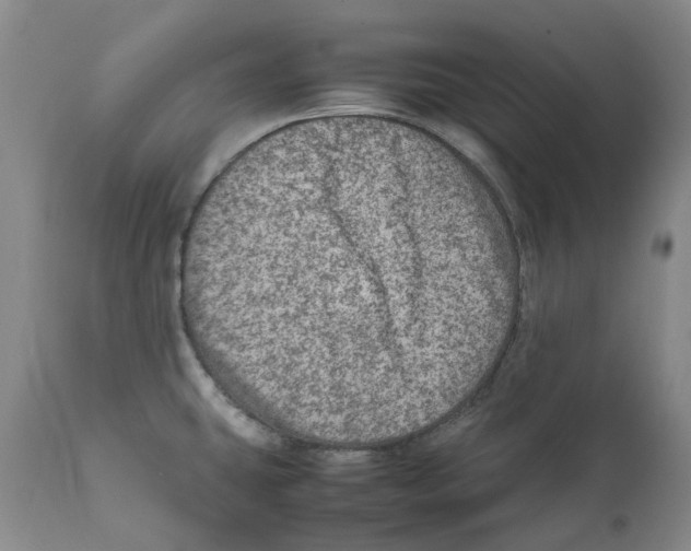 X0000111921431200908241039