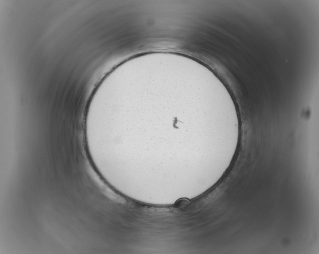 X0000111921432200908241039