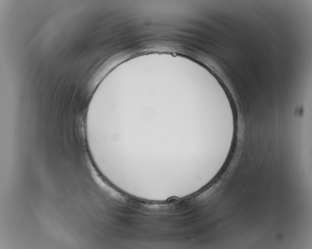 X0000111921433200908241039