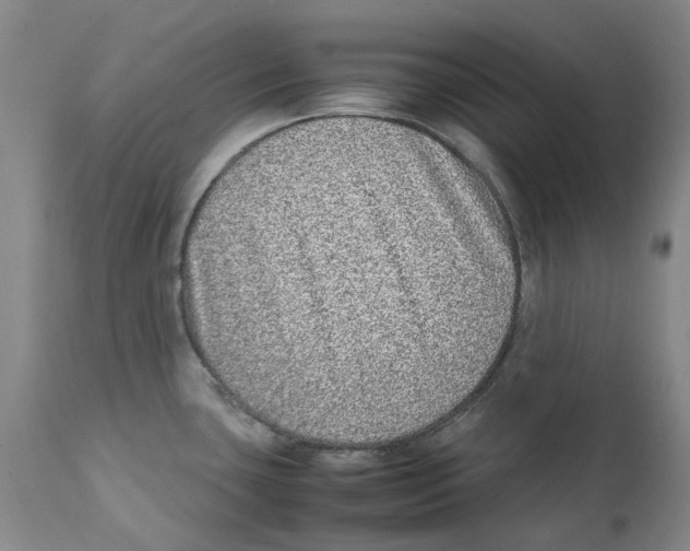 X0000111921435200908241039