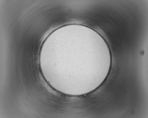 X0000111921436200908241040