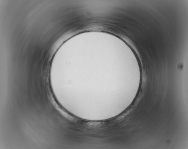 X0000111921437200908241040