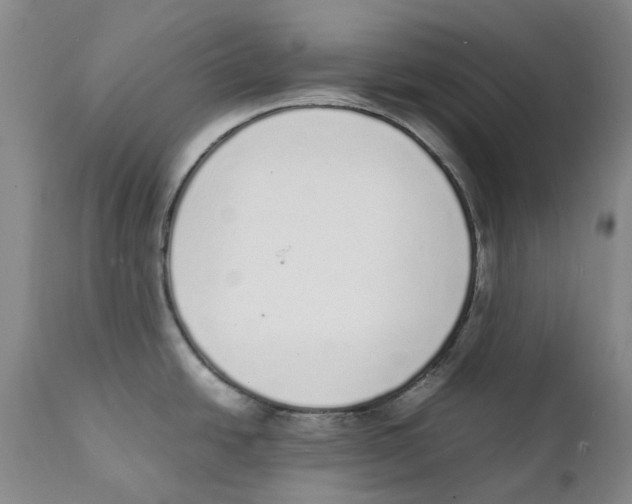 X0000111921438200908241040