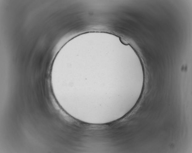 X0000111921440200908241040